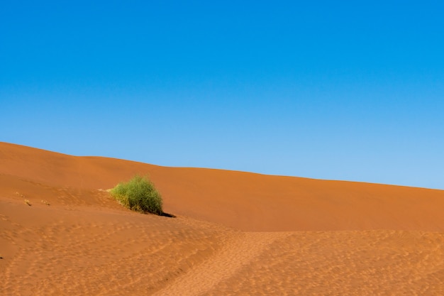 Free photo beautiful landscape of orange sand dune orange sand at namib desert in namib-naukluft national park sossusvlei in namibia.