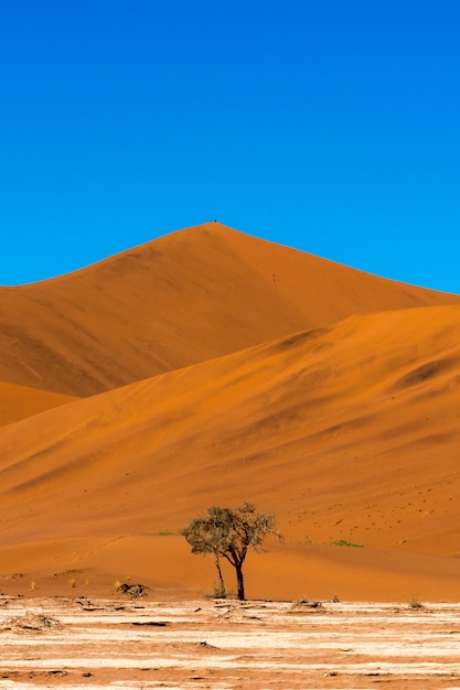 Free photo beautiful landscape of orange sand dune orange sand at namib desert in namib-naukluft national park sossusvlei in namibia.