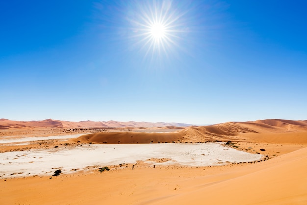 Beautiful landscape of orange sand dune orange sand at Namib desert in Namib-Naukluft national park Sossusvlei in Namibia.