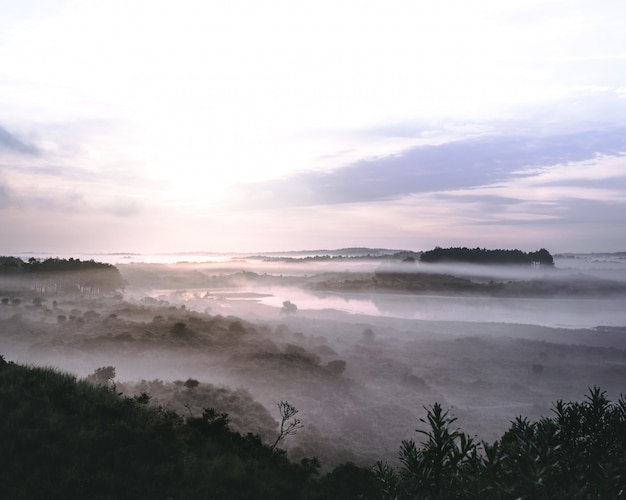 Free Photo beautiful landscape of a river in a mountainous forest covered in fog in zuid-kennemerland