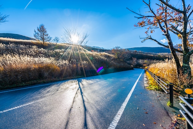 Free photo beautiful landscape of road side around mountain fuji