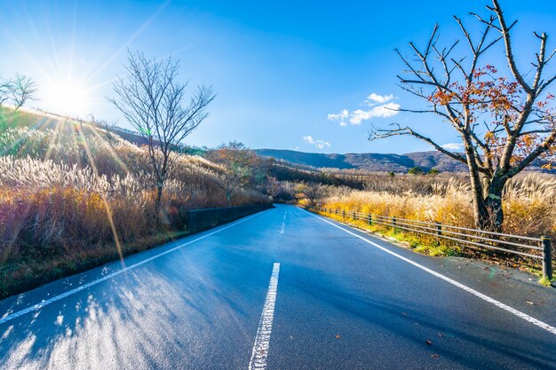 Beautiful landscape of road side around mountain fuji 