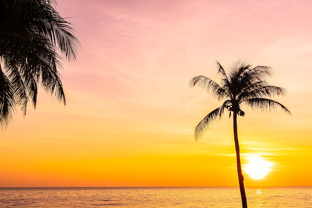 Free Photo beautiful landscape of sea ocean with silhouette coconut palm tree at sunset or sunrise