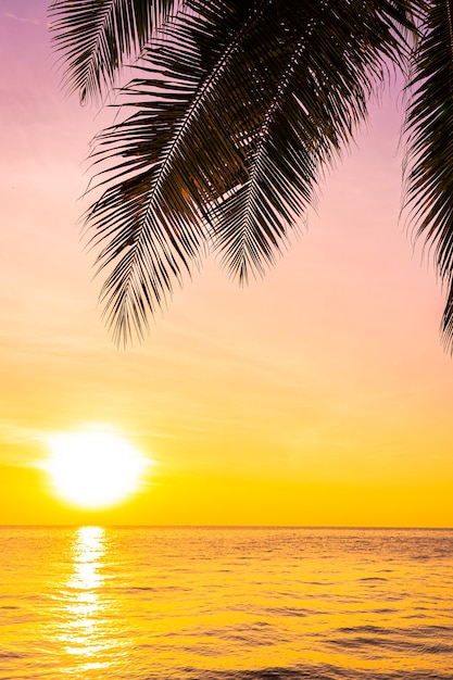 Beautiful landscape of sea ocean with silhouette coconut palm tree at sunset or sunrise