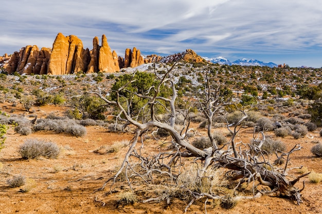 Free Photo beautiful landscape shot of arches national park in utah, usa