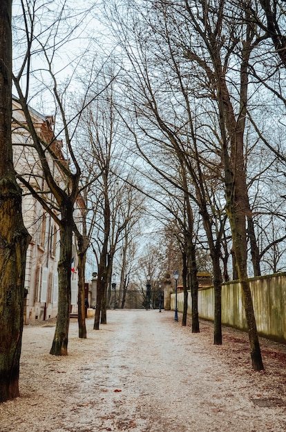 Beautiful landscape shot of the gardens of Paris during a cloudy day