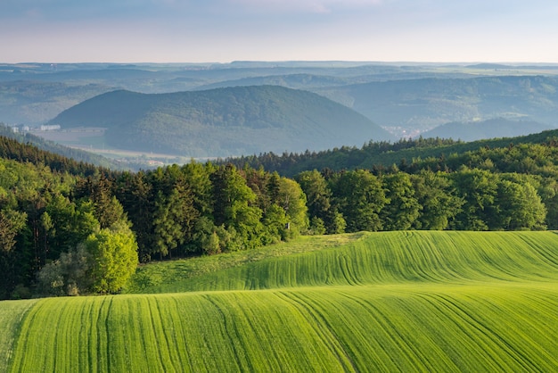 Free Photo beautiful landscape shot of green fields on hills surrounded by a green forest