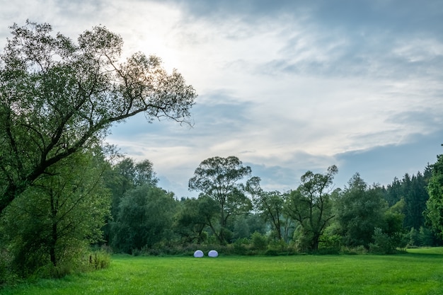 Free photo beautiful landscape shot of a green grass area surrounded by trees under the peaceful blue sky