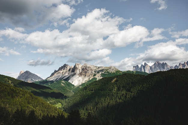 Free photo beautiful landscape shot of mountains covered in evergreen forests and white peaks during the day