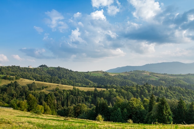 Free photo beautiful landscape of summer carpathian mountains