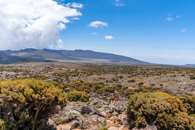 Beautiful landscape of Tanzania and Kenya