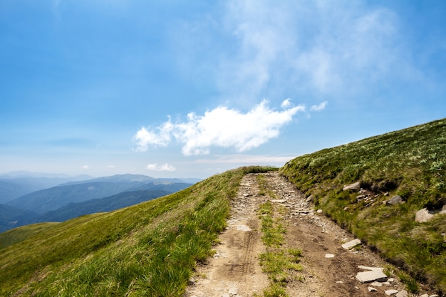 Free photo beautiful landscape of ukrainian carpathian mountains and cloudy sky.