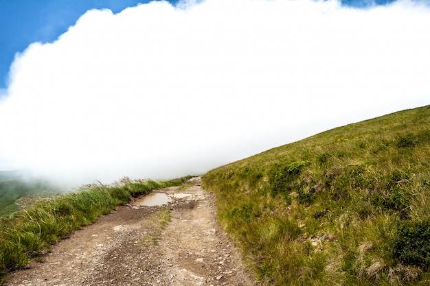 Free photo beautiful landscape of ukrainian carpathian mountains and cloudy sky.