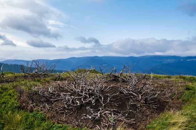 Beautiful landscape of Ukrainian Carpathian mountains.