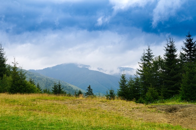 Free photo beautiful landscape of ukrainian carpathian mountains.