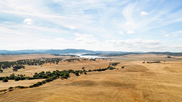 Free photo beautiful landscape with dry land