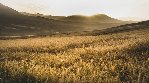 Beautiful landscape with fields and mountains at scenic sunset