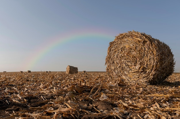 Beautiful landscape with rainbow and hay