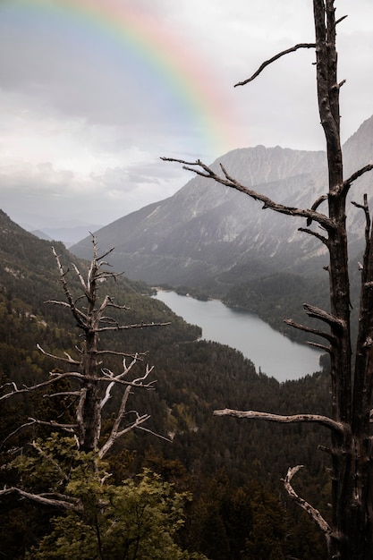 Beautiful landscape with rainbow and hill