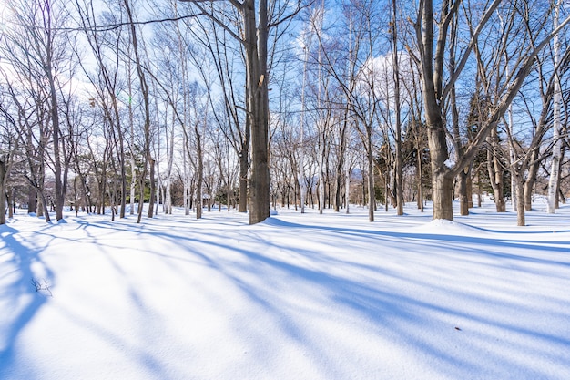 Beautiful landscape with tree in snow winter season