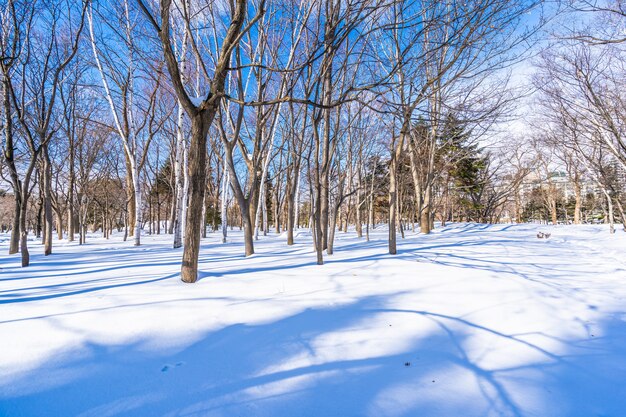 Beautiful landscape with tree in snow winter season