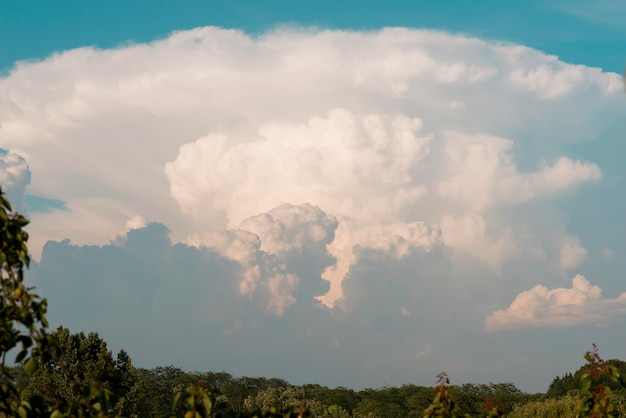 Free Photo beautiful landscape with white clouds