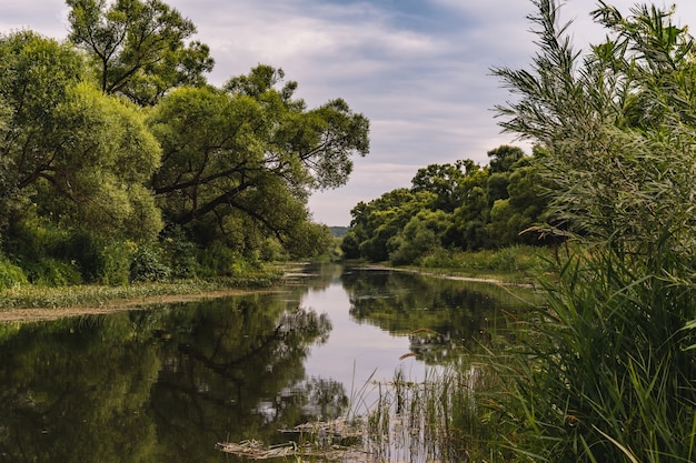 Beautiful landscape