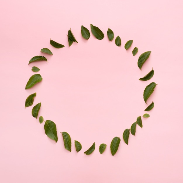 Free Photo beautiful leaves arranged in circular frame over pink background