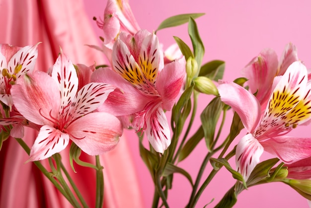 Free Photo beautiful lilies with pink background