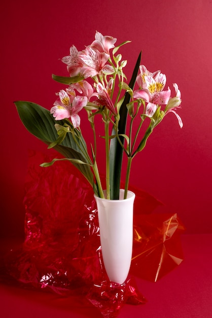 Beautiful lilies with red background