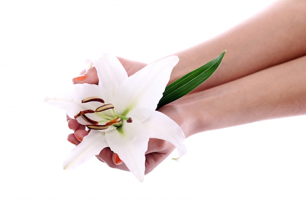 Beautiful lily flower in woman hands