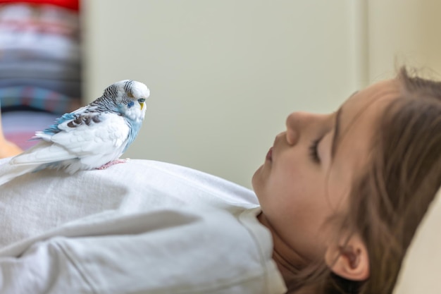 A beautiful little girl is playing with a white and blue budgie pets concept