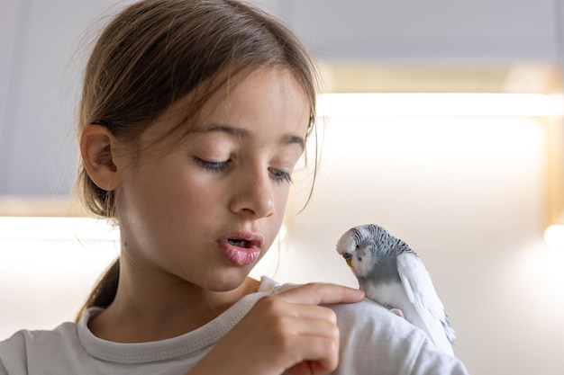 Free photo a beautiful little girl is playing with a white and blue budgie pets concept