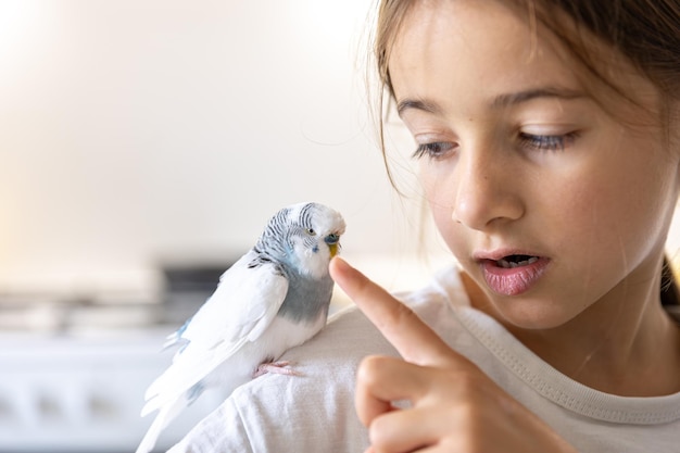 A beautiful little girl is playing with a white and blue budgie Pets concept