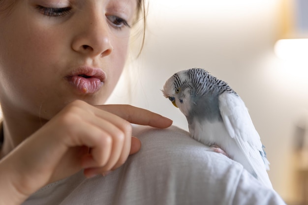 Free photo a beautiful little girl is playing with a white and blue budgie pets concept