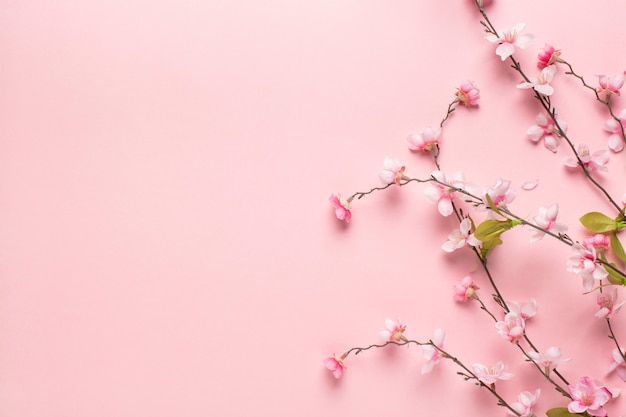 Free Photo beautiful little pink flowers branches