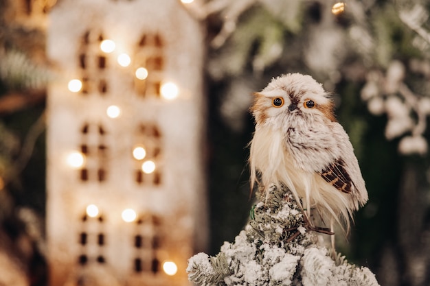 Beautiful little white owl on a tree with a lot of lights on background