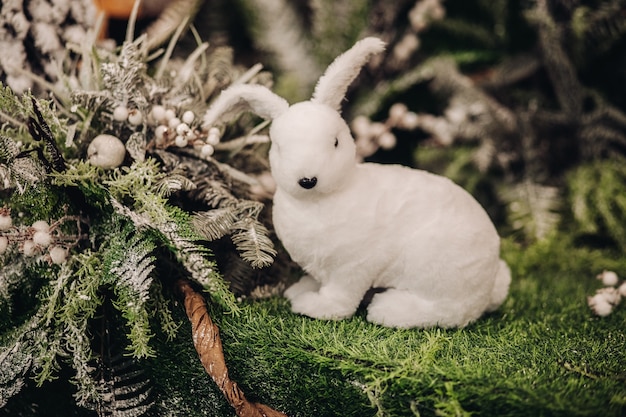 Beautiful little white rabbit near a tree with a lot of other trees on background