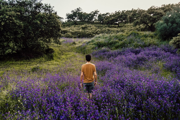 Beautiful long shot of a person standing amongst a pile of lavender flowers in nature