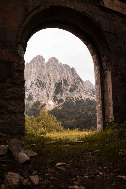 Free Photo beautiful mountain forest landscape