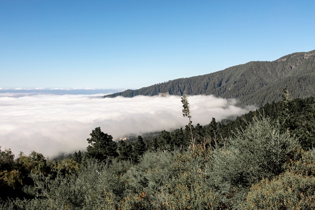 Free photo beautiful mountain landscape above the clouds