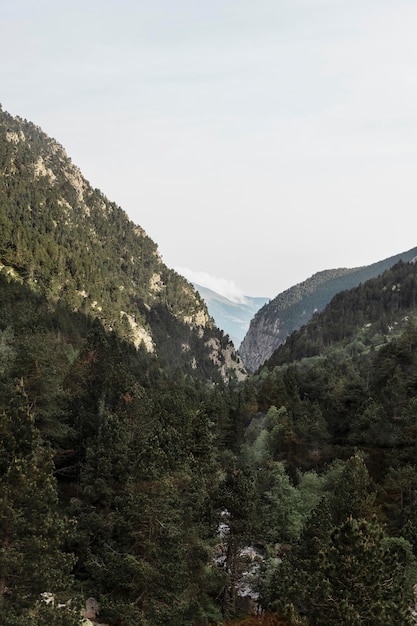 Free photo beautiful mountain landscape on a sunny day