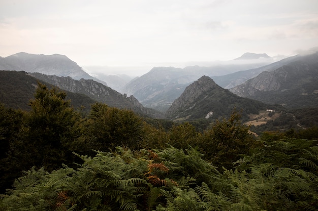 Beautiful mountain view with cloudy sky