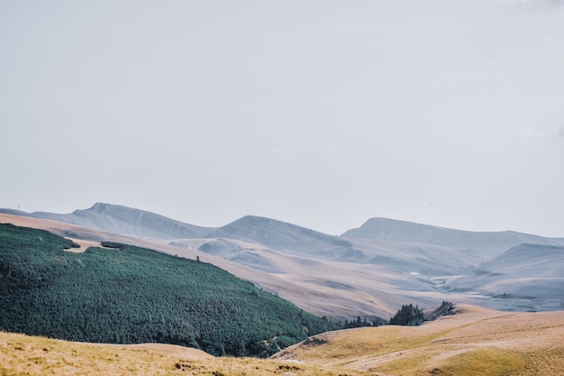 Free photo beautiful mountainous landscape covered with trees