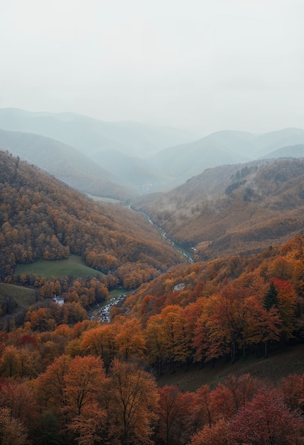 Beautiful natural autumn scene