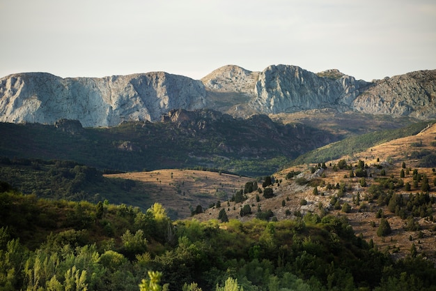 Free Photo beautiful natural landscape of mountain