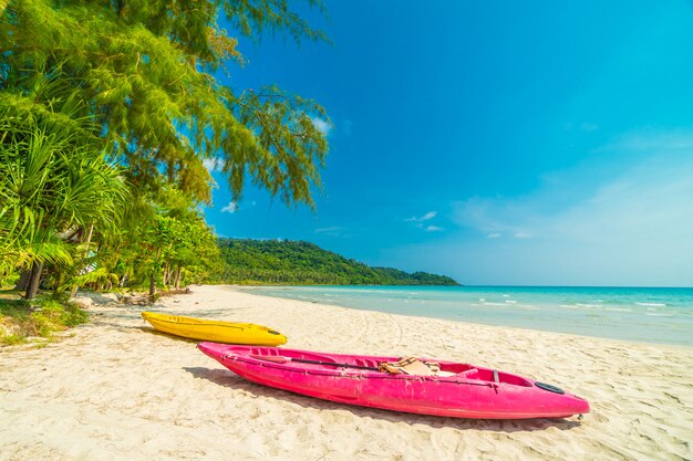 Beautiful nature tropical beach and sea with coconut palm tree on paradise island