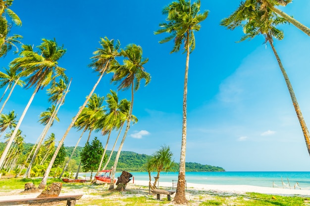 Beautiful nature tropical beach and sea 