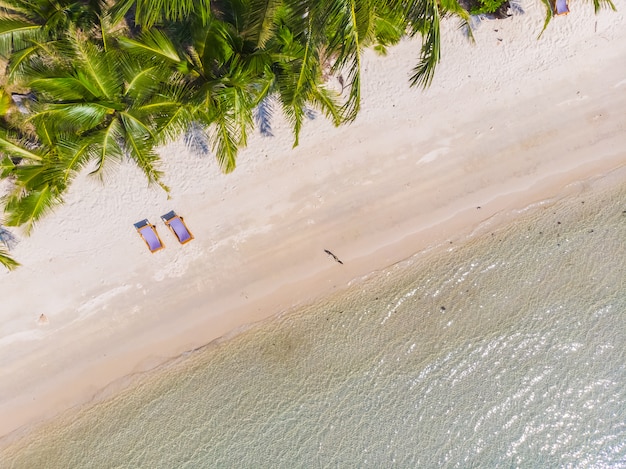 Free Photo beautiful nature tropical beach and sea