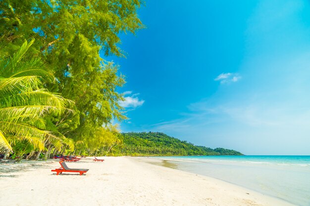 Beautiful nature tropical beach 